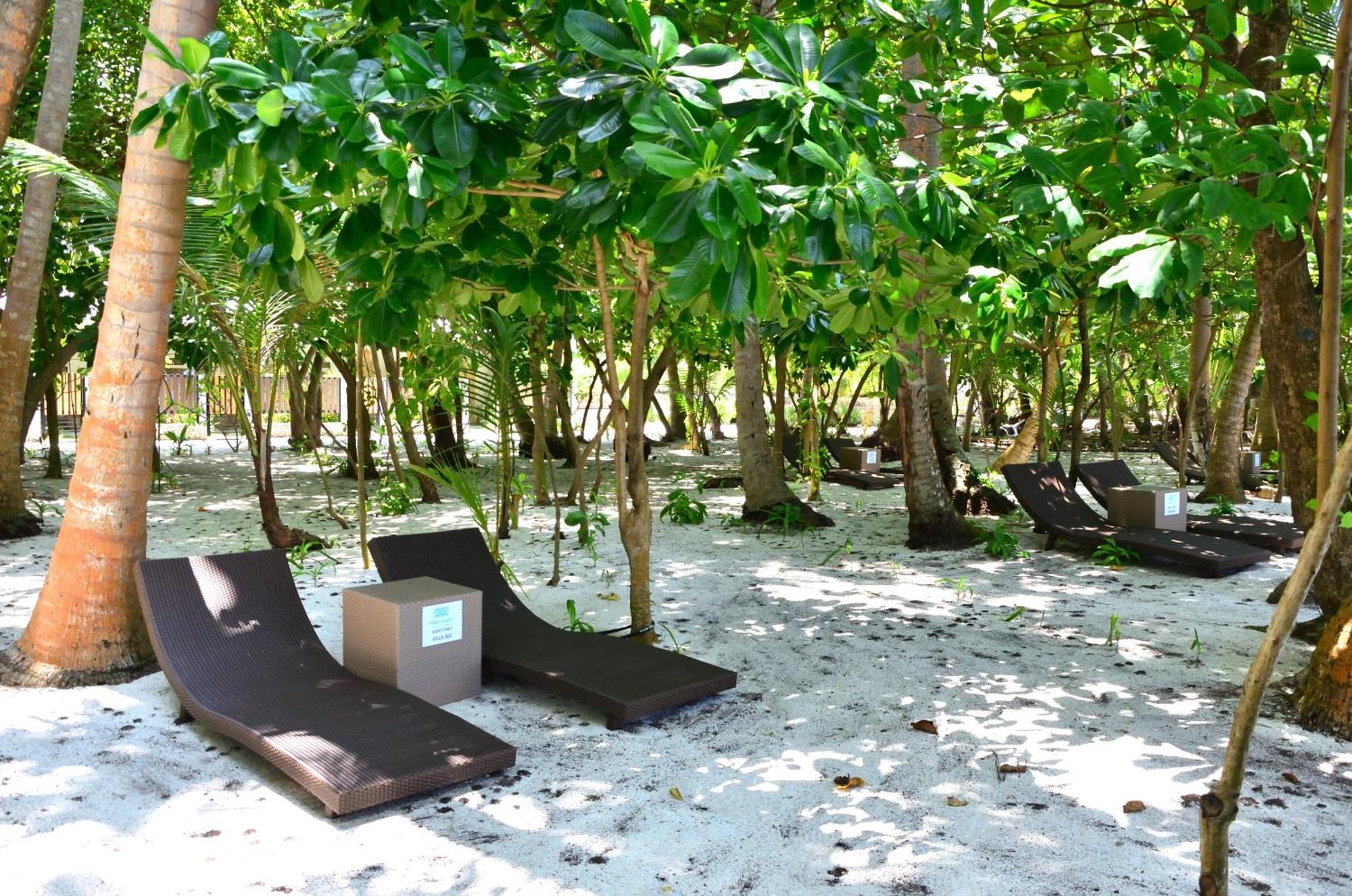 Three Hearts Guesthouse And Villas Isla Isla Fulhadhoo Habitación foto
